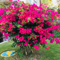 фото из отзыва ID 2112105