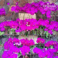 фото из отзыва ID 2112105