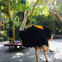 фото из отзыва ID 2112105