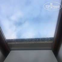 фото из отзыва ID 2112189