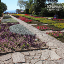 фото из отзыва ID 2112182