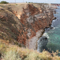 фото из отзыва ID 2112182