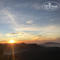 фото из отзыва ID 2112185