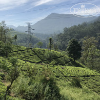 фото из отзыва ID 2112185