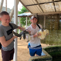 фото из отзыва ID 2112185