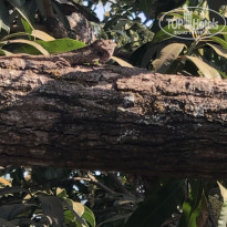 фото из отзыва ID 2112213