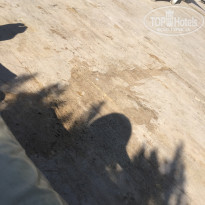 фото из отзыва ID 2112215