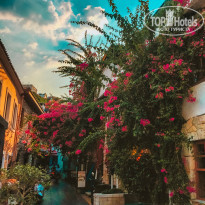 фото из отзыва ID 2112215