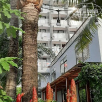 фото из отзыва ID 2112346