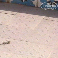 фото из отзыва ID 2112151