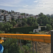 фото из отзыва ID 2112372