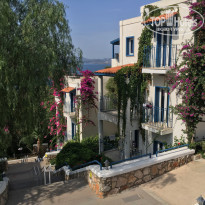 фото из отзыва ID 2112372