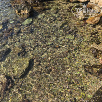 фото из отзыва ID 2112372