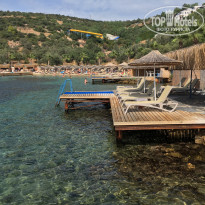 фото из отзыва ID 2112372