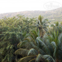 фото из отзыва ID 2112385