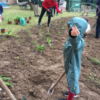 фото из отзыва ID 2112434