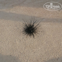 фото из отзыва ID 2112444