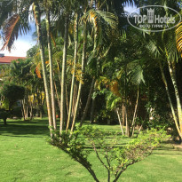 фото из отзыва ID 2112526