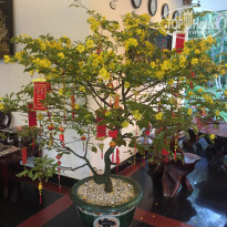 фото из отзыва ID 2112526