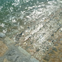 фото из отзыва ID 2112551