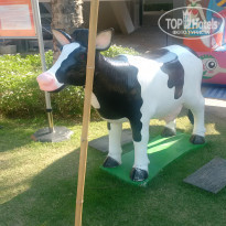 фото из отзыва ID 2112551