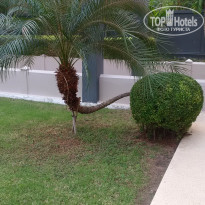 фото из отзыва ID 2112551