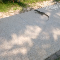 фото из отзыва ID 2112551