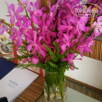 фото из отзыва ID 2112551