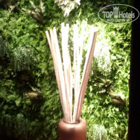 фото из отзыва ID 2112551