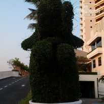 фото из отзыва ID 2112551