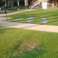 фото из отзыва ID 2112551