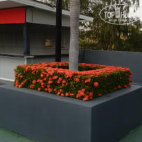 фото из отзыва ID 2112551