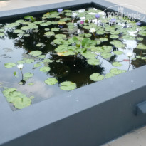 фото из отзыва ID 2112551