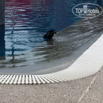 фото из отзыва ID 2112551