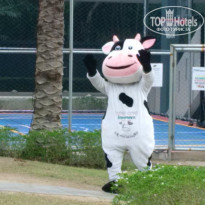 фото из отзыва ID 2112551