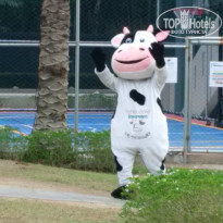 фото из отзыва ID 2112551