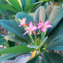 фото из отзыва ID 2112551