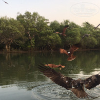 фото из отзыва ID 2112618