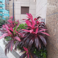 фото из отзыва ID 2112675