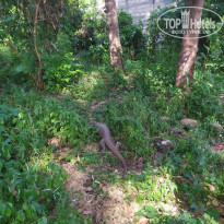 фото из отзыва ID 2112721