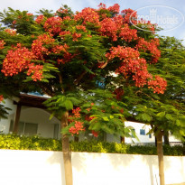 фото из отзыва ID 2112716