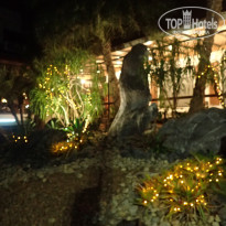 фото из отзыва ID 2112731