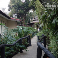 фото из отзыва ID 2112731