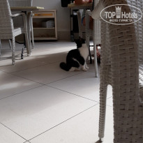 фото из отзыва ID 2112637