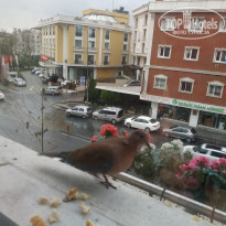 фото из отзыва ID 2112603