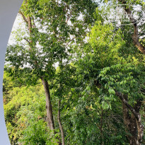 фото из отзыва ID 2112971