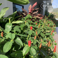 фото из отзыва ID 2112971