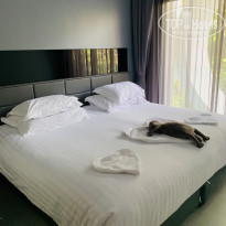 фото из отзыва ID 2112971