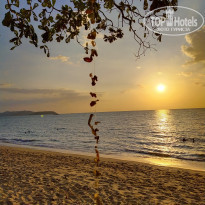 фото из отзыва ID 2113019