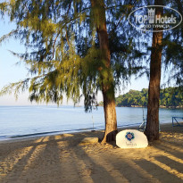 фото из отзыва ID 2113019